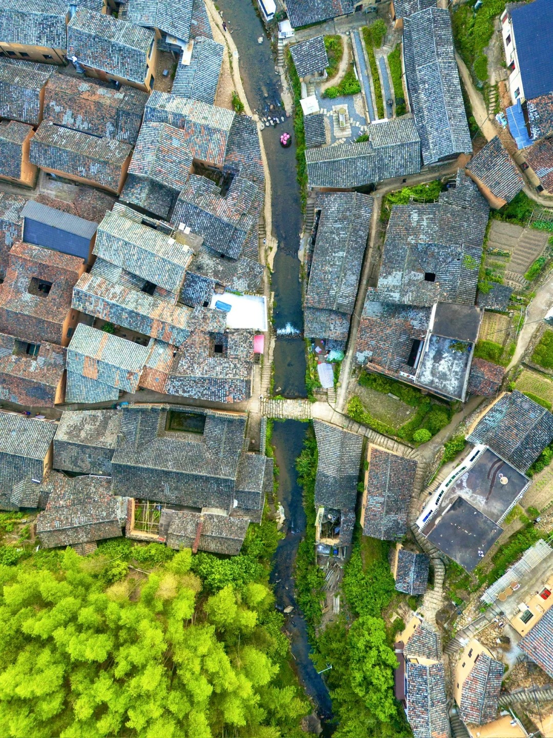 浙江丽水松阳旅游攻略:藏着几十个原始美好的古村落,最后的江南秘境