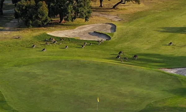 [墨尔本周边]大洋路自驾路线行程及旅游攻略