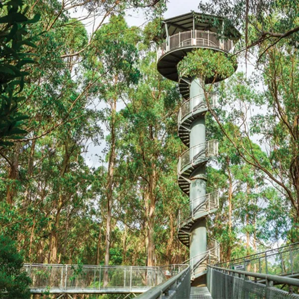 [墨尔本周边]大洋路自驾路线行程及旅游攻略