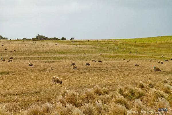 [墨尔本周边]大洋路自驾路线行程及旅游攻略