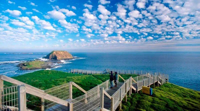 [墨尔本周边] 企鹅岛菲利普岛旅游攻略