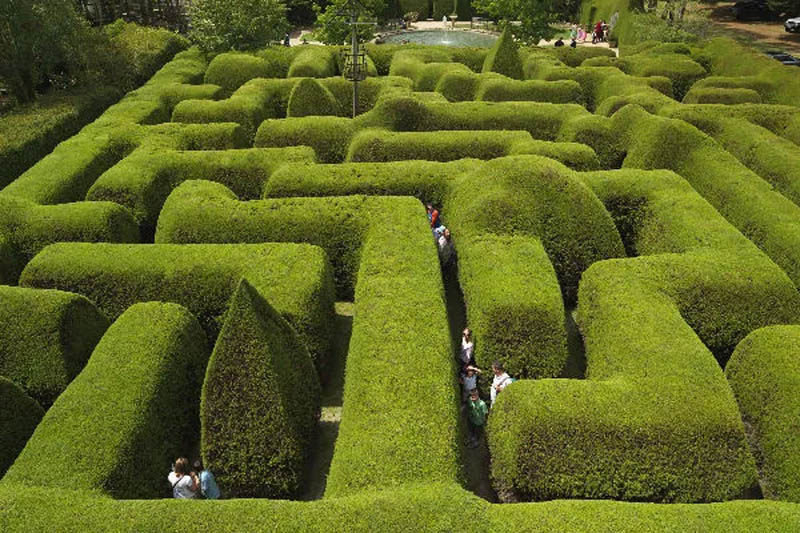 墨尔本周边一日游：莫宁顿半岛旅游景点攻略