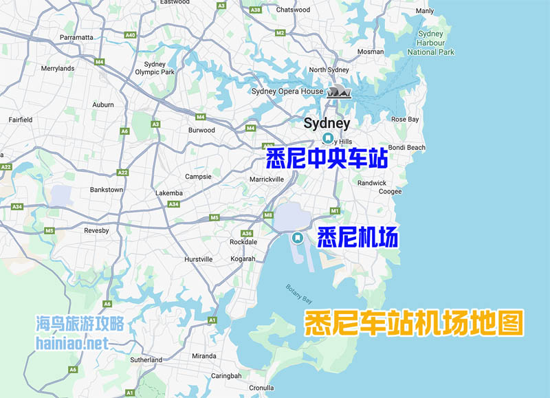 悉尼到堪培拉交通攻略：巴士、火车、飞机怎么选？