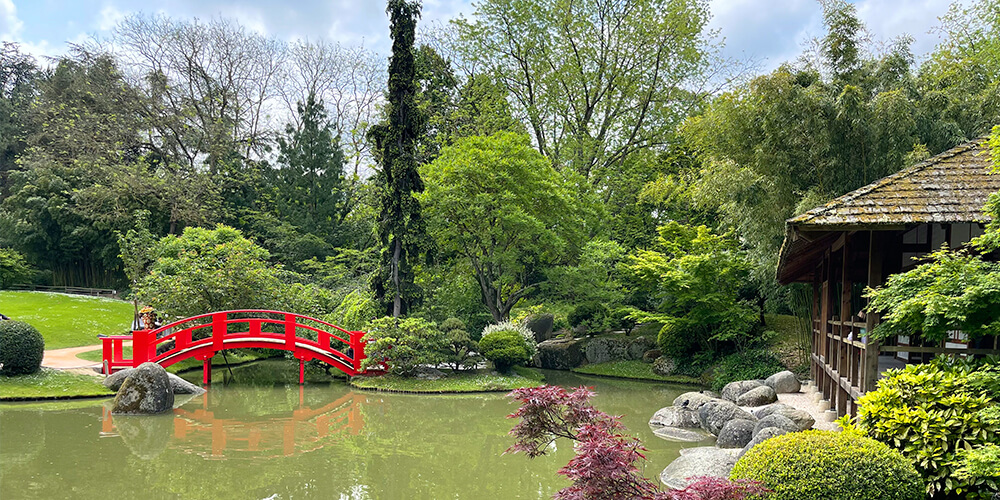 法国图卢兹旅游攻略——在玫瑰之城邂逅浪漫古韵与前沿科技的法式秘境